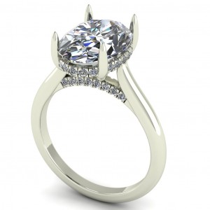 Oval Cathedral Hidden Halo Engagement Ring 3.60Ctw