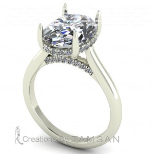 Oval Cathedral Hidden Halo Engagement Ring 3.60Ctw