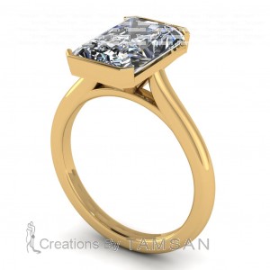 Radiant Half Bezel Cathedral Engagement Ring