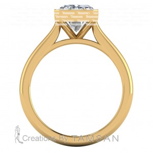 Radiant Half Bezel Cathedral Engagement Ring